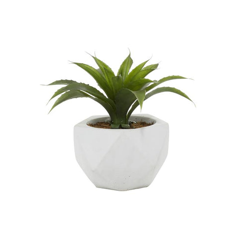 Maceta con Planta de Seda - Artificial
