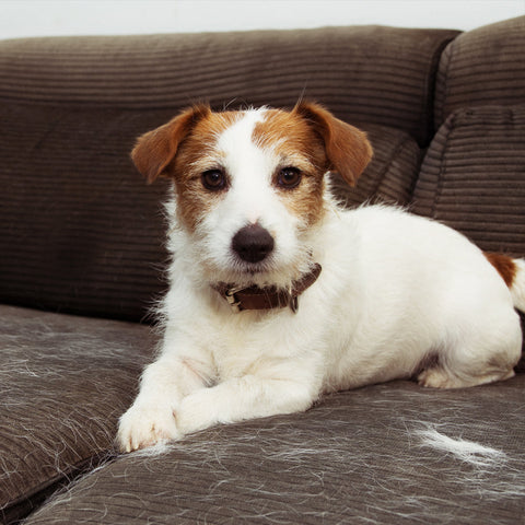 Plan Proteccion Individual 3 Años (Kit) - Sala Completa - 5800