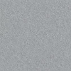 Loretto Gris